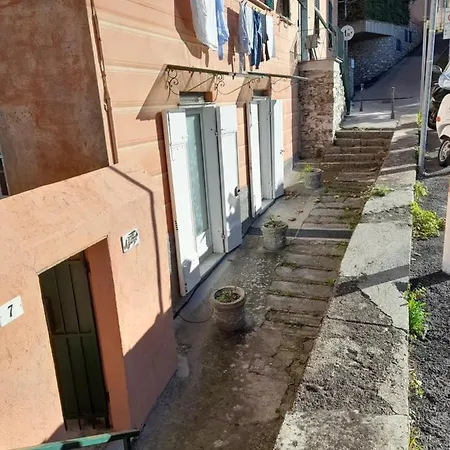 Il Fondo Camogli